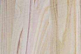 Tablero alistonado de Paulownia